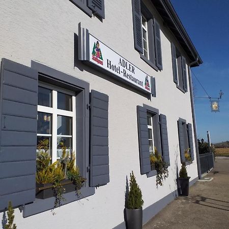 Hotel Landgasthof Adler Bad Krozingen Zewnętrze zdjęcie